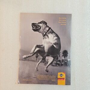 Vintage 2004 Pedigree Large Breed Dog Print Ad Beach B&W 8x10.5 Original Ad